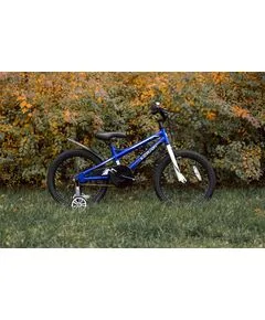 Детский велосипед Lenjoy Finder 18 (синий), Цвет: синий