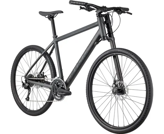Велосипед Cannondale Bad Boy 3 (BBQ), Цвет: черный, Размер рамы: L, изображение 2