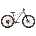 Велосипед Welt'26 Icon 3.0 29 (Brutal Silver), Цвет: серый, Размер рамы: L