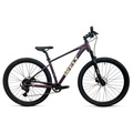 Велосипед Welt'26 Rocket 4.0 29 HD (Golden Purple), Цвет: фиолетовый, Размер рамы: M