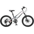 Детский велосипед MONTASEN 20" MB12B (серебристый), Цвет: серый