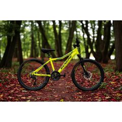 Велосипед RENOME JR 24 (жёлтый), Цвет: жёлтый, Размер рамы: XXS