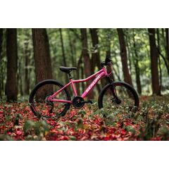 Велосипед RENOME JR 24 (розовый), Цвет: розовый, Размер рамы: XXS