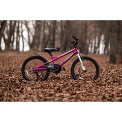 Детский велосипед Lenjoy Finder 20 (розовый), Цвет: розовый
