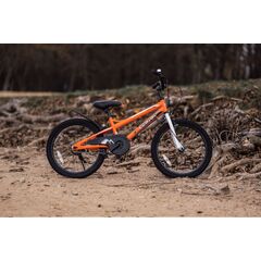 Детский велосипед Lenjoy Finder 20 (оранжевый), Цвет: оранжевый
