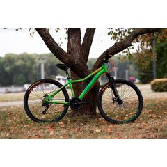 Велосипед RENOME JR 26 (зелёный), Цвет: зелёный, Размер рамы: XS