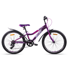 Велосипед AIST Rosy Junior 1.0 24" (фиолетовый), Цвет: фиолетовый