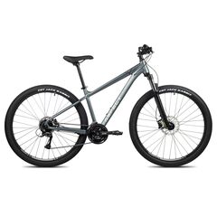 Велосипед Aspect Legend 29 (темно-серый), Цвет: серый, Размер рамы: 20"
