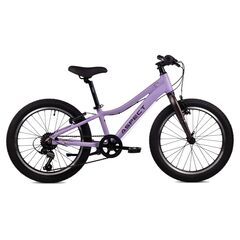 Велосипед Aspect Galaxy 20" (фиолетовый)