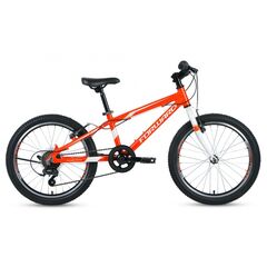 Детский велосипед Forward RISE 20 2.0 (оранжевый/белый), Цвет: оранжевый, Размер рамы: 10,5"