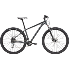 Велосипед Cannondale Trail 5 29 (Graphite), Цвет: серый, Размер рамы: M