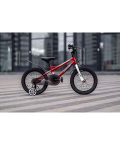 Детский велосипед Lenjoy Finder 16 (красный), Цвет: красный