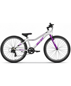 Велосипед Aist Easy 26 (серебристый), Цвет: серый, Размер рамы: 13"