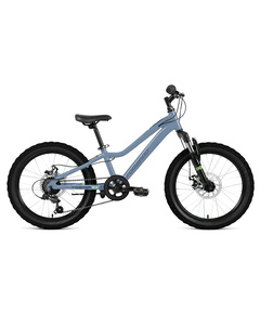 Велосипед Forward Twister CX 20 (2026, светлый серо-голубой)