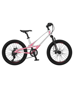 Детский велосипед MONTASEN 20" MB12B (розовый), Цвет: розовый