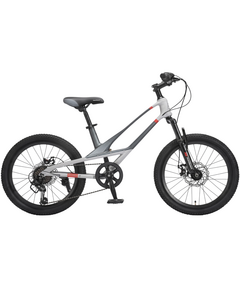 Детский велосипед MONTASEN 20" MB12B (серебристый), Цвет: серый