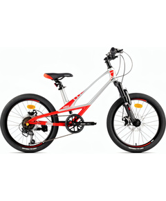 Детский велосипед MONTASEN 20" MB12B (серебристый), Цвет: серебристый