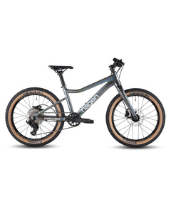 Велосипед Hagen Teen Pro 20 Carbon (2026, звездная пыль, металлик)