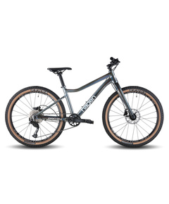 Велосипед Hagen Teen Pro 24 Carbon (2026, звездная пыль, металлик)