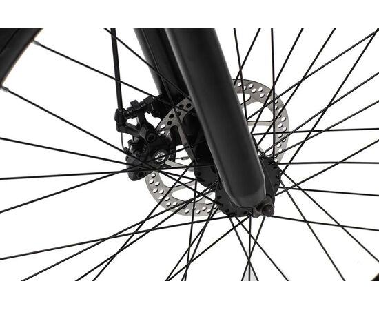 Электровелосипед FURENDO E-X5 350 GT (чёрный матовый), Цвет: черный, изображение 7