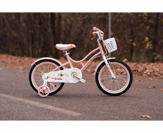Детский велосипед Lenjoy Beehive 16 (розовый)