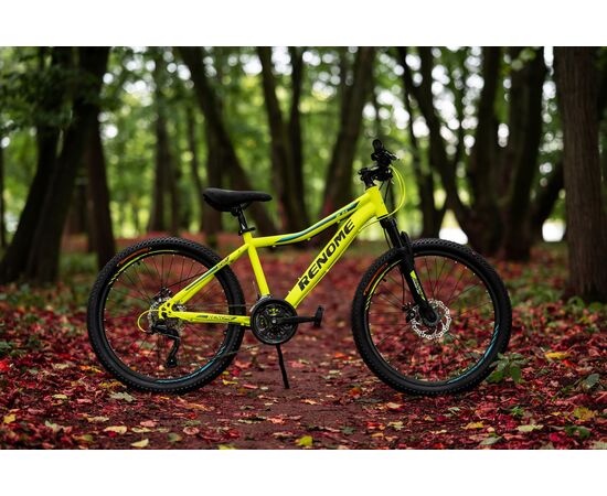 Велосипед RENOME JR 24 (жёлтый), Цвет: жёлтый, Размер рамы: XXS, изображение 2