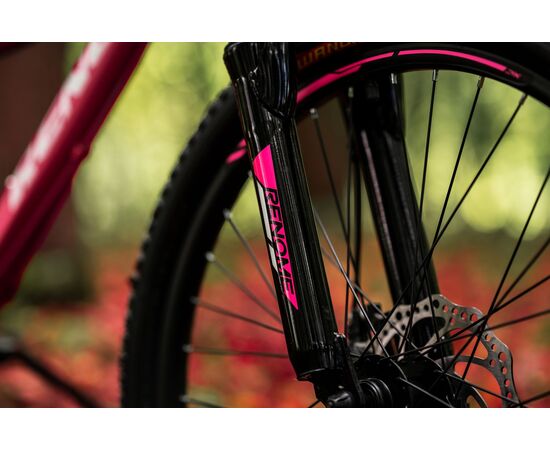 Велосипед RENOME JR 24 (розовый), Цвет: розовый, Размер рамы: XXS, изображение 6