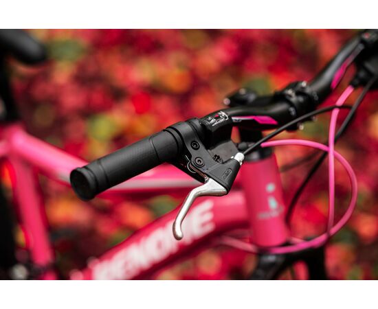 Велосипед RENOME JR 24 (розовый), Цвет: розовый, Размер рамы: XXS, изображение 7