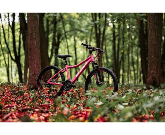 Велосипед RENOME JR 24 (розовый), Цвет: розовый, Размер рамы: XXS, изображение 8