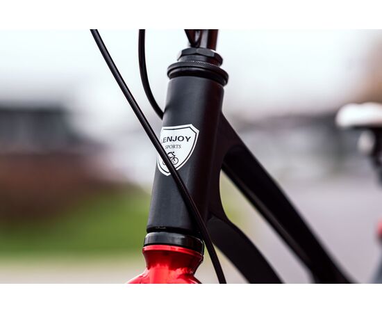 Детский велосипед Lenjoy Pilot 16 (чёрно-красный), Цвет: красный, изображение 8