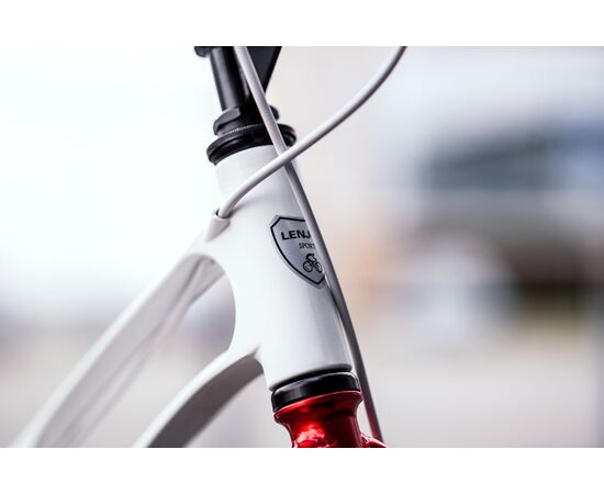 Детский велосипед Lenjoy Pilot 16 (белый), Цвет: белый, изображение 9