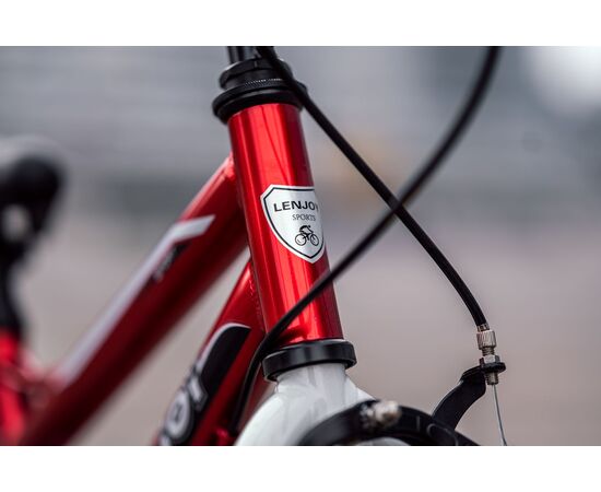 Детский велосипед Lenjoy Finder 16 (красный), Цвет: красный, изображение 6