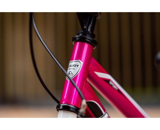 Детский велосипед Lenjoy Finder 18 (розовый), Цвет: розовый, изображение 7