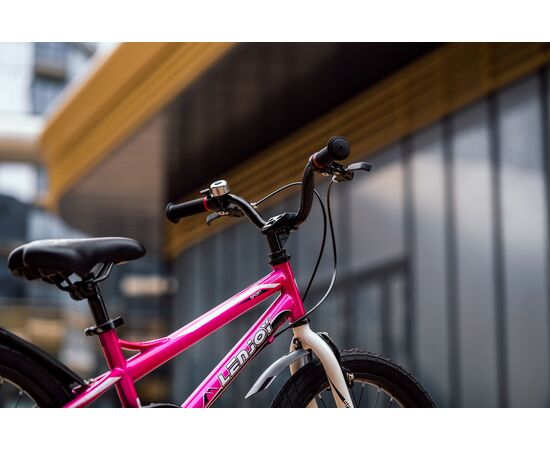 Детский велосипед Lenjoy Finder 18 (розовый), Цвет: розовый, изображение 13