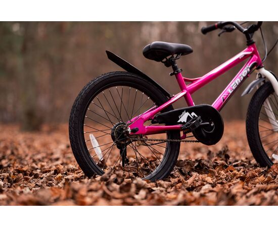 Детский велосипед Lenjoy Finder 20 (розовый), Цвет: розовый, изображение 2