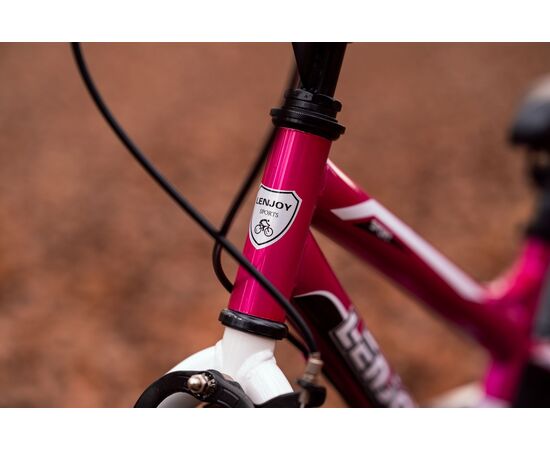 Детский велосипед Lenjoy Finder 20 (розовый), Цвет: розовый, изображение 7