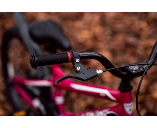 Детский велосипед Lenjoy Finder 20 (розовый), Цвет: розовый, изображение 10