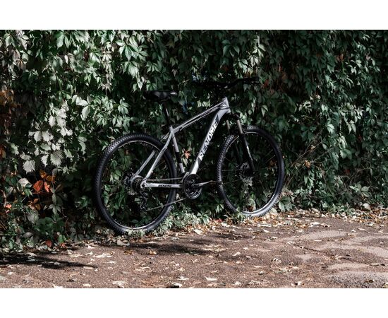 Велосипед RENOME HONOR 29" (титан), изображение 3