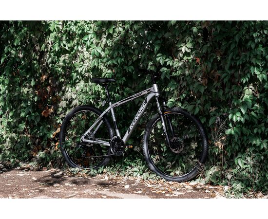 Велосипед RENOME HONOR 29" (титан), изображение 4