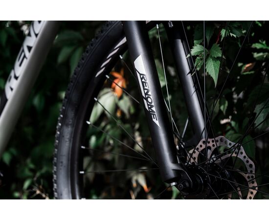 Велосипед RENOME HONOR 29" (титан), изображение 6