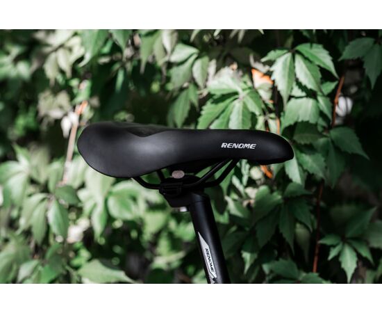 Велосипед RENOME HONOR 29" (титан), изображение 9