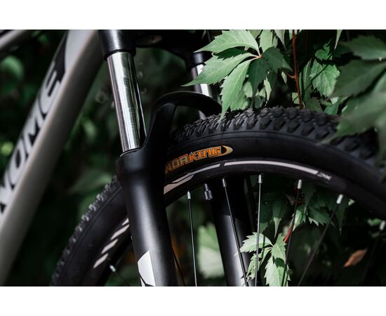 Велосипед RENOME HONOR 29" (титан), изображение 10