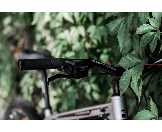 Велосипед RENOME HONOR 29" (титан), изображение 12