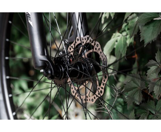 Велосипед RENOME HONOR 29" (титан), изображение 14