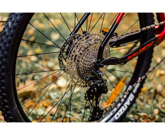 Велосипед GT Avalanche Elite 29, Цвет: красный, Размер рамы: M, изображение 3