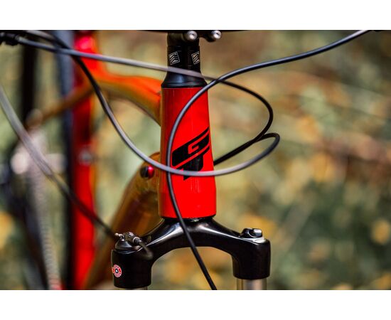 Велосипед GT Avalanche Elite 29, Цвет: красный, Размер рамы: M, изображение 6