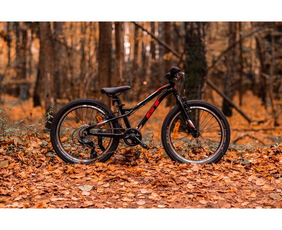 Велосипед GT Stomper Prime 20 (чёрный), Цвет: черный, изображение 2