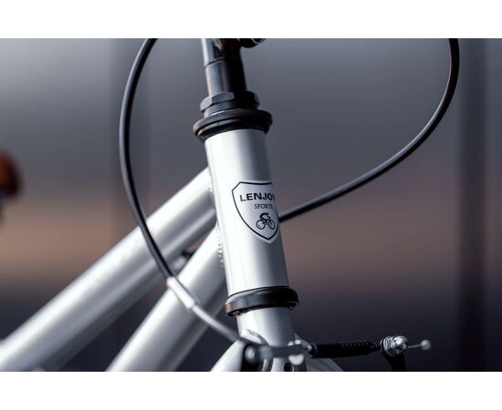 Детский велосипед Lenjoy Sliver Gohst 16 (Серый), Цвет: серый, изображение 5