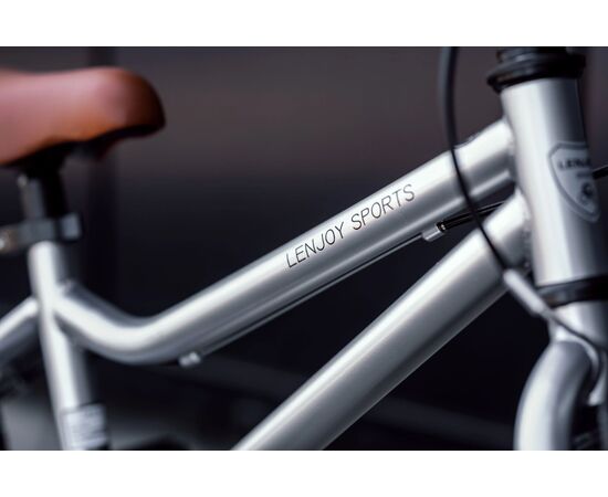 Детский велосипед Lenjoy Sliver Gohst 16 (Серый), Цвет: серый, изображение 3