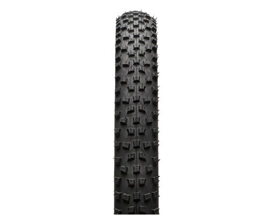 Покрышка 29x2.25 (57-622) Schwalbe Rocket Ron Performance TLR, складная, изображение 3